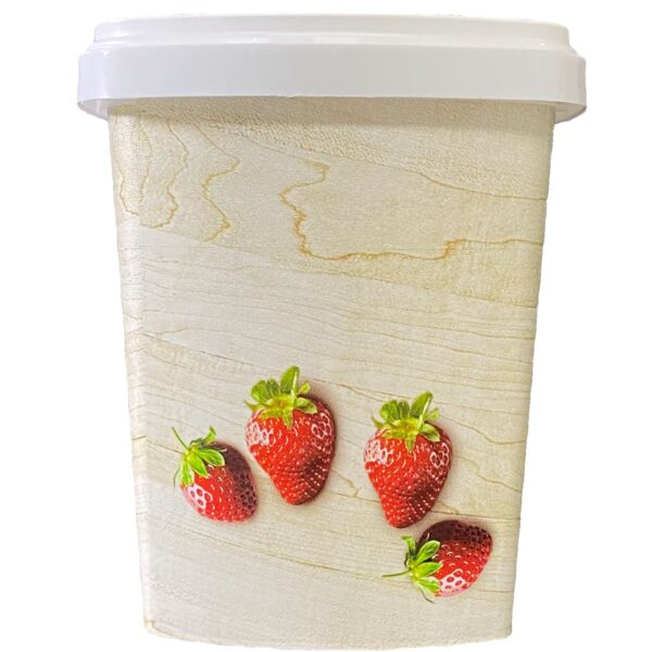 D400: 16 oz Plastic IML Fruit Container Packaging